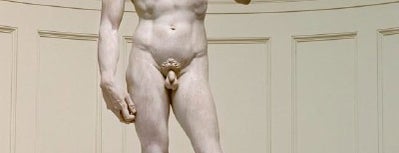 David di Michelangelo is one of Noj Otsëit 님의 팁.