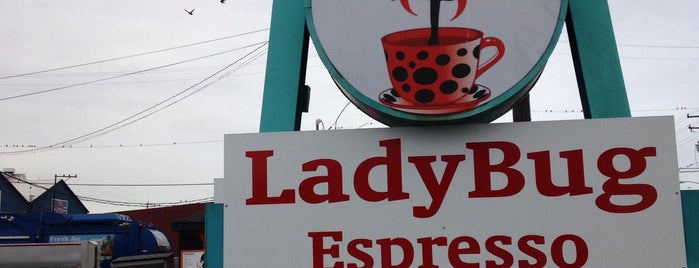 Ladybug Bikini Espresso is one of Seattle.