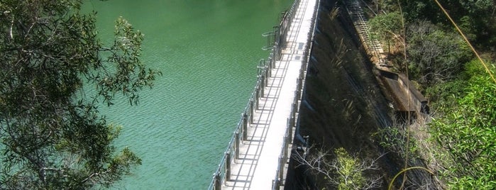 Lam Tei Irrigation Reservoir is one of 香港水塘.