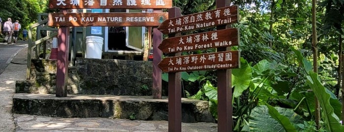 Tai Po Kau Nature Reserve 大埔滘自然護理區 is one of Hong Kong.