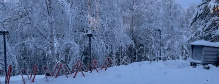 Arctic TreeHouse Hotel is one of Finland.