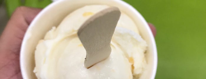 Natural Ice Cream is one of All-time favorites in India.
