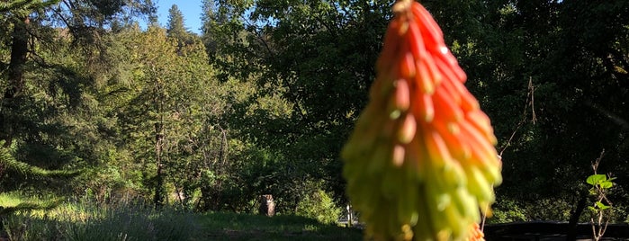 Jacksonville Woodland Trails is one of Rogue valley wanderer.