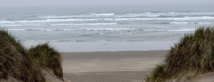 Manzanita Beach is one of Oregon Faves.