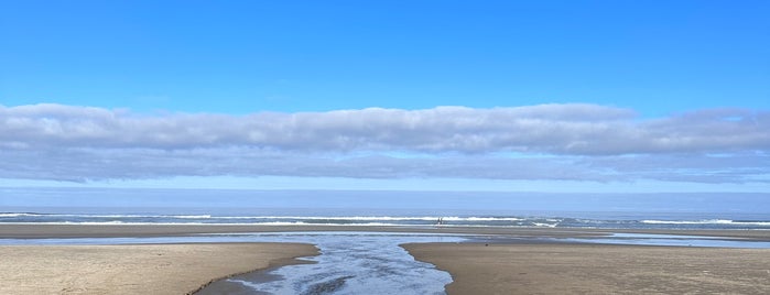 Neahkahnie Beach is one of Locais salvos de Stacy.