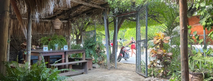 Pinches Tacos is one of oaxaca.