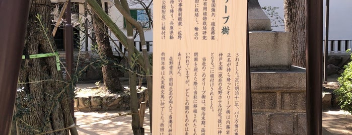 日本最初のオリーブの木 is one of Kobe Plan.