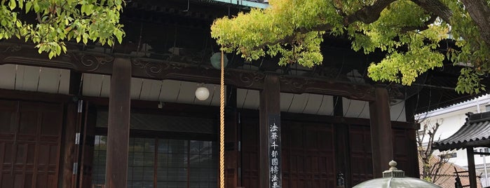 本興寺 is one of 本山.