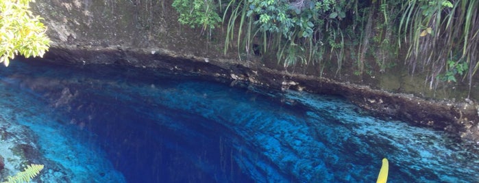 Enchanted River is one of Darwin's Saved Places.