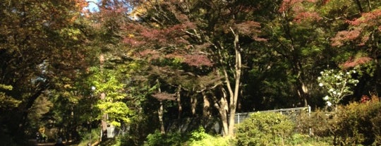 Sayama Park is one of 多摩湖自転車道.