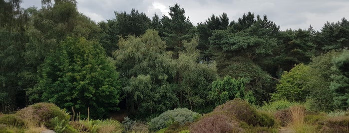 University of Dundee Botanic Gardens is one of England.