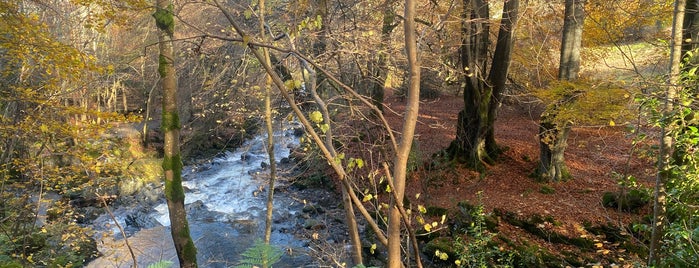 Lower Birks Of Aberfeldy is one of Tristan’s Liked Places.
