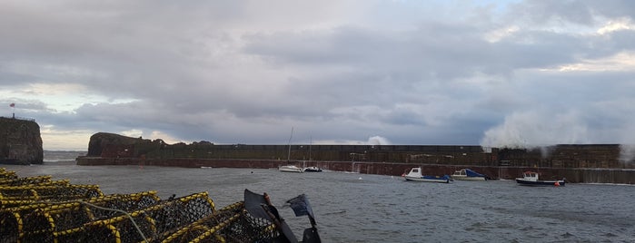 Dunbar Harbour is one of Orte, die Jerome gefallen.