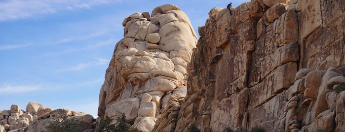 Hidden Valley Nature Trail is one of joshua tree / yucca valley.
