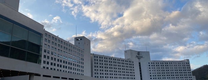 苗場プリンスホテル is one of Revoの軌跡.