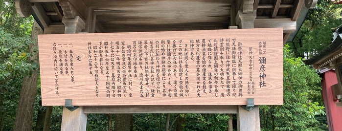 Yahiko Shrine is one of religion.