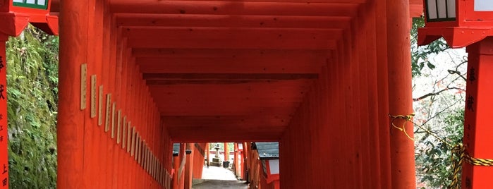 Taikodani Inari Shrine is one of Posti che sono piaciuti a 野並.