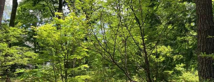 Yomeishu Healthy Forest is one of その他.