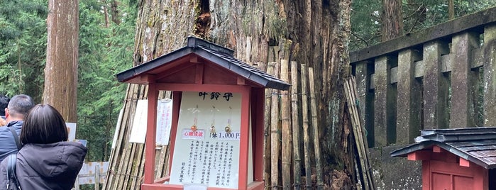 叶杉 is one of 日光の神社仏閣.