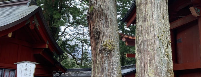 二荒山神社 夫婦杉 is one of 日光の神社仏閣.