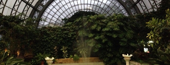 Оранжерея Таврического сада is one of Locais curtidos por Selena.