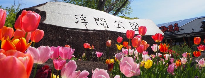 Ukima Park is one of Parks & Gardens in Tokyo / 東京の公園・庭園.