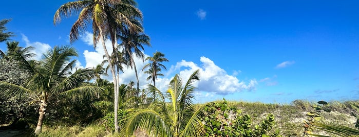 Blue Lagoon Island is one of Do: Nassau ☑️.