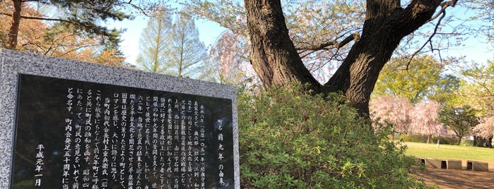 前九年公園 is one of Park in Morioka.