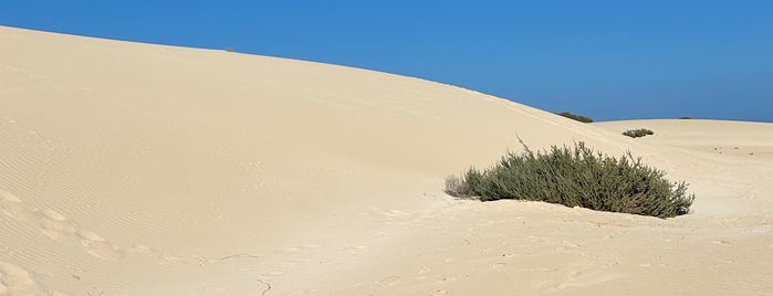 Dunas De Corralejo is one of My Fuerteventura.