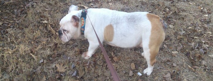 missy's stroll to sniff is one of Posti che sono piaciuti a Chester.