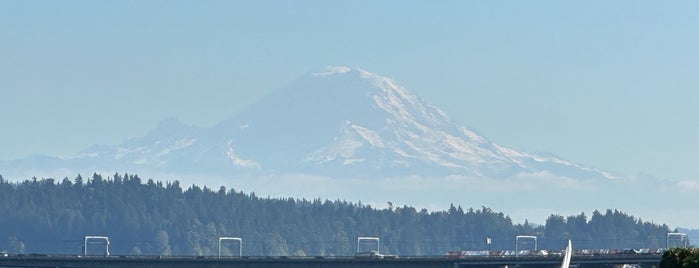 Leschi Park is one of Seattle.