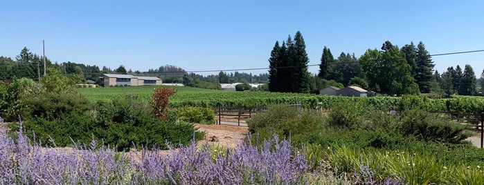 Emeritus Vineyards is one of Kimmie's Saved Places.