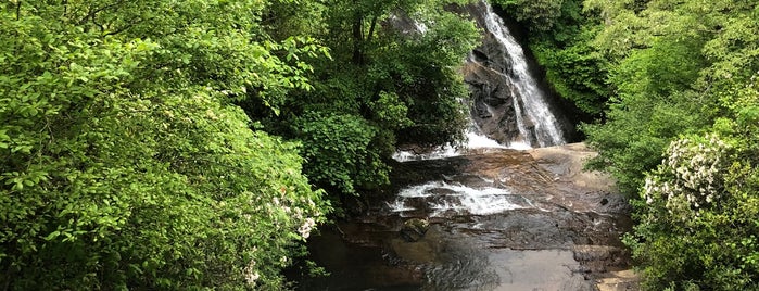 Connestee Falls Park is one of Brevard.