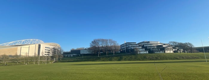 University of Brighton, Falmer campus is one of Aikido Clubs.