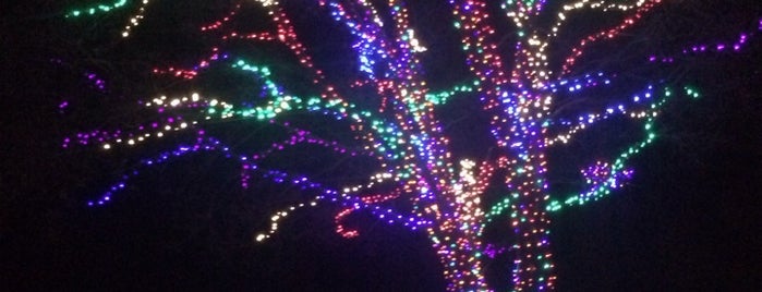 Herr's Christmas Lights is one of York county area.