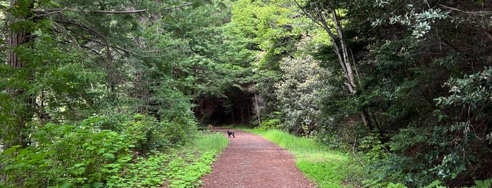 Big River Trail is one of Mendocino.