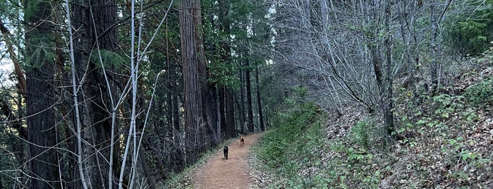Tribute Trail is one of Northern California.