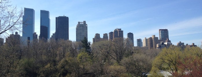 Central Park is one of My favorite places in New York.