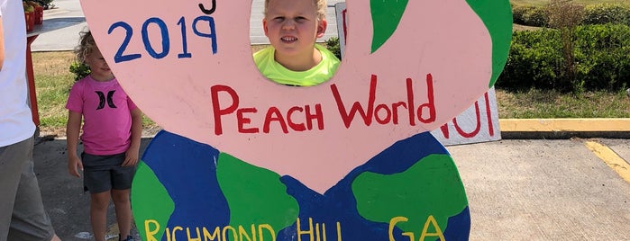 Georgia Peach Stand is one of Lizzie’s Liked Places.