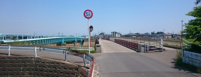 田子大橋 is one of 交通.