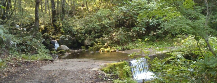 沢渡り 船形山林道 is one of 交通.