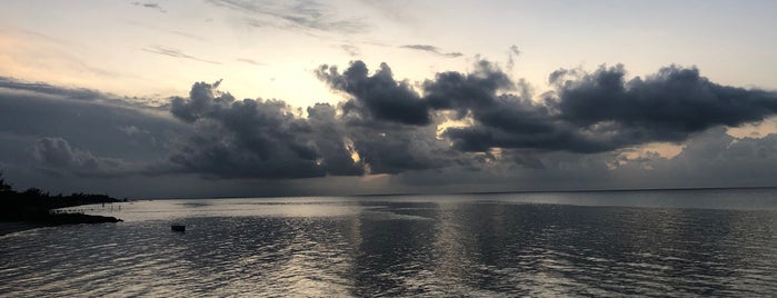 Bar Las Nubes is one of Holbox to do.