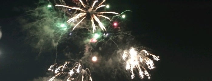 Navy Pier Fireworks is one of yearly events in chicagoland area.