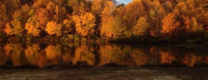 Royal Lake Park is one of Campbell : понравившиеся места.