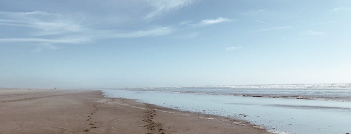 Copalis Beach, WA is one of Favorite Great Outdoors.