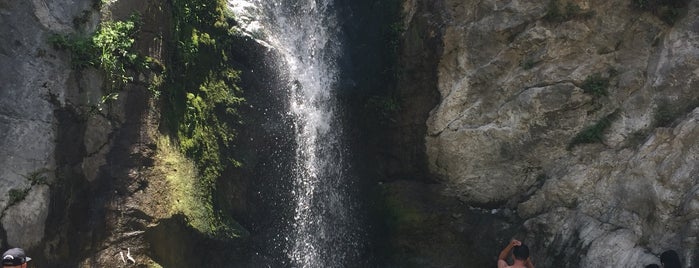 Eaton Canyon Hiking Trail is one of David : понравившиеся места.