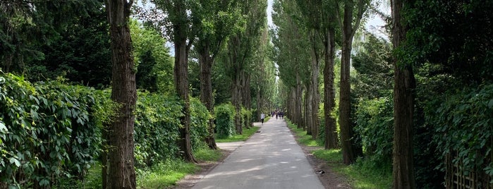 Assistens Kirkegård is one of Davidさんのお気に入りスポット.