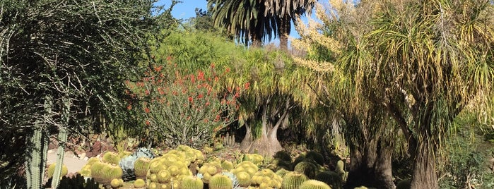 Huntington Botanical Gardens Conservatory is one of David : понравившиеся места.