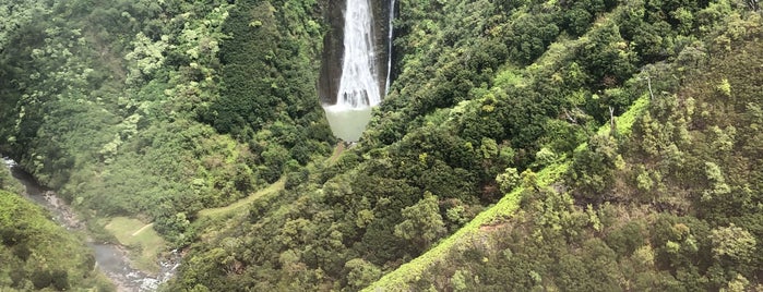 Tempat yang Disukai David