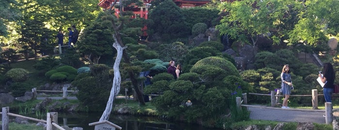 Japanese Tea Garden is one of Tempat yang Disukai David.